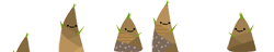 シーズンバー